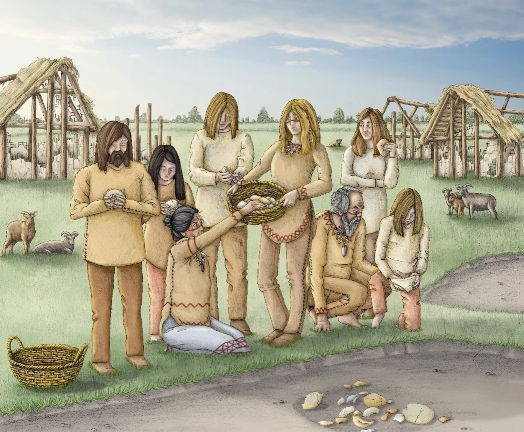 <p>Illustration reconstructing the final deposition of the cranial fragments in the abandoned part of the village at Masseria Candelaro</p>